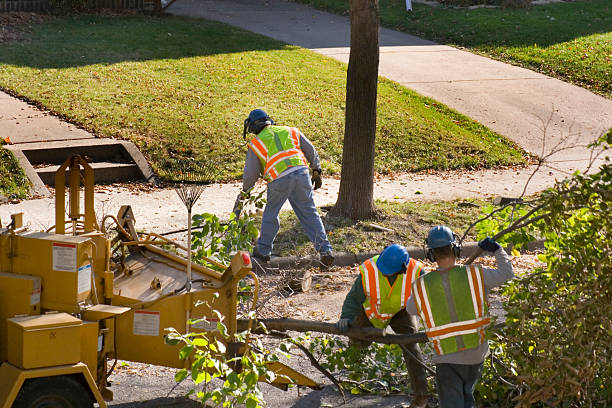 Lawn Pest Prevention in Brentwood, PA